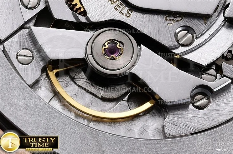 0420 ROLCEL076 – Cellini Functional 880